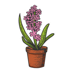 Hyacinth flower color sketch engraving vector illustration. Scratch board style imitation. Black and white hand drawn image.