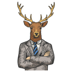 Deer head businessman color sketch engraving vector illustration. Scratch board style imitation. Black and white hand drawn image.