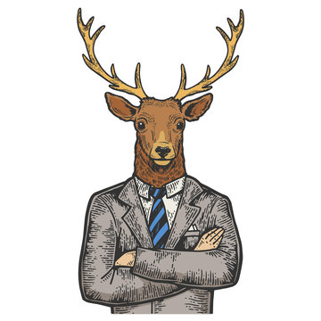 Deer head businessman color sketch engraving vector illustration. Scratch board style imitation. Black and white hand drawn image.