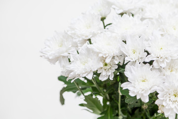 Fototapeta na wymiar Bouquet of white flowers Chrysanthemums in vase on white background