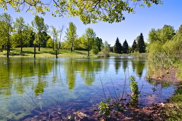 Bright sunny spring morning near the lakes and ponds in Pellerina Park, Turin, Piedmont, Italy