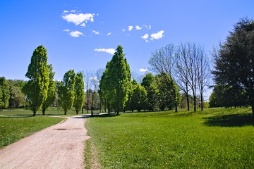 Bright sunny spring morning near the lakes and ponds in Pellerina Park, Turin, Piedmont, Italy
