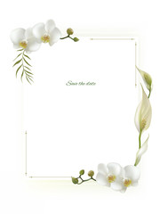 Flowers. Floral background. White orchids. Green leaves.