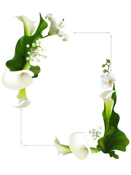 Flowers. Floral background. Callas. White orchids. Green leaves. Lilies. Border.