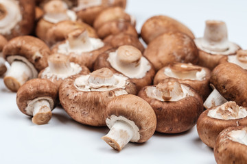 Brauner Champignon (Agaricus bisporus var. hortensis)