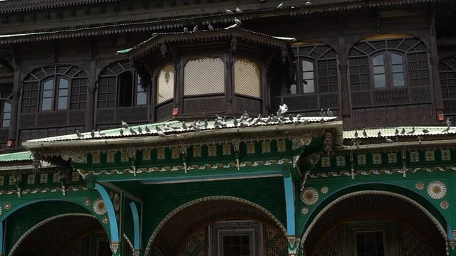 Extreme Close-up Shot Of Pigeons The Ground At Shah Hamdan Mosque, Srinagar.