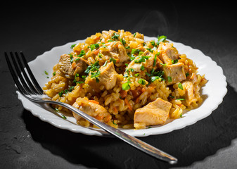 Chicken Breast with Rice and vegetables in white plate on dark black background