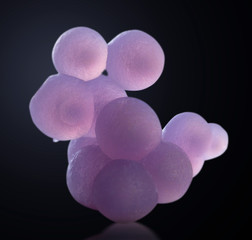 grape agate mineral rock gem stone quartz  geology specimen