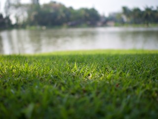 The green lawn with sunlight in the morning and the blur lake background