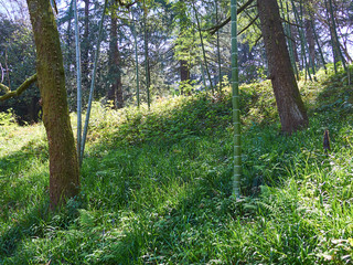 Obraz premium Photo of Georgia