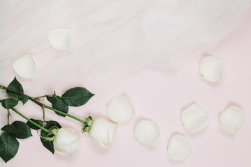 Obraz na płótnie Canvas White roses petals with bridal veil