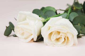 Wedding white roses