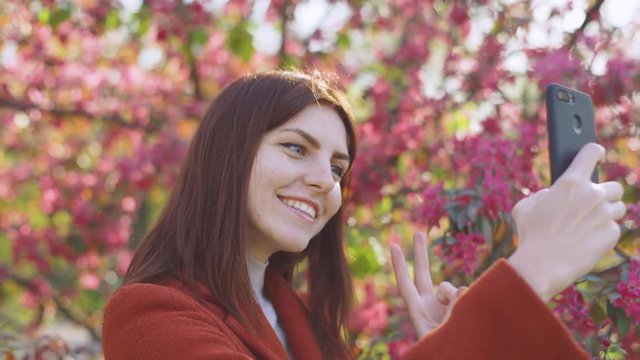 Young attractive red-haired woman makes a selfie on the background of spring flowers of cherry or sakura blossoms on smartphone at sunset in park 