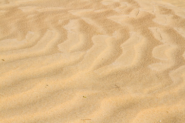 Sahara sand  background. Close up. Amazing wave pattern send dune near El Oued,  Algeria,  North Africa, Sahara