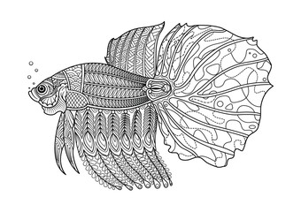 Fighting fish hand drawn coloring page.