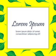 Leaf Pattern Background Frame With White Square