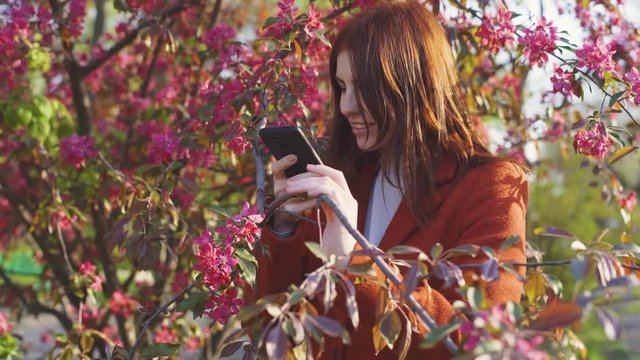 Young attractive red-haired woman taking photos of spring flowers of cherry or sakura blossoms on smartphone at sunset in park 