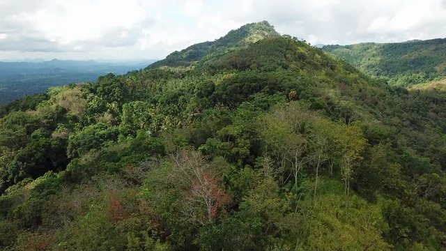 Jungle mountain in the center of Sri Lanka