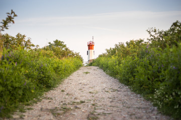 Fototapeta na wymiar Path leading to a lighthouse on a hill