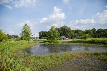 Small Pond