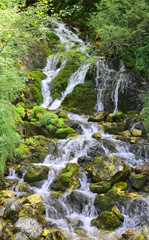mountain stream with water under the forest