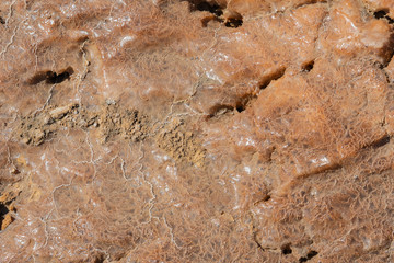 Close up of salt geometries in the plain of salt in the Danakil Depression in Ethiopia, Africa	
