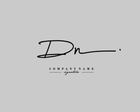 D N DN Signature initial logo template vector