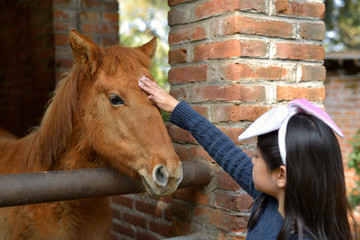 Ni&ntilde;a con caballo