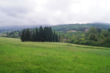 Meadows in the surroundings of Ponte a Mensola, Florence, Tuscany, Italy