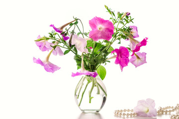 Bouquet of pink petunias