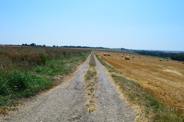 Fototapeta na wymiar Chemin agricole dans la région d'Arromanches (Calvados - Normandie - France) 