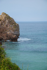 Vertical landscape of coast with karst rock, blue sea and vegetation on Berellin beach, Prellezo, Cantabria, Spain