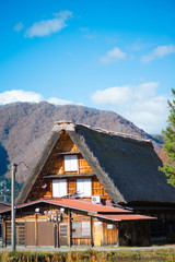 Traditional gassho-zukuri house in autumn season at Shirakawa-go,Japan