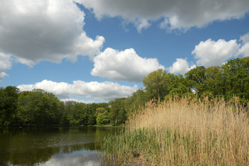 am see