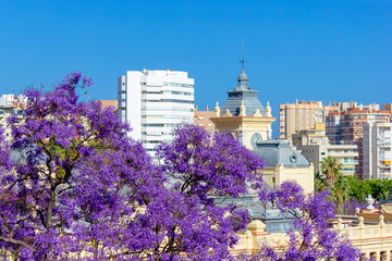 View of Malaga in a beautiful spring day, Spain