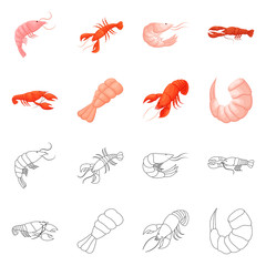 Isolated object of appetizer and ocean symbol. Collection of appetizer and delicacy vector icon for stock.