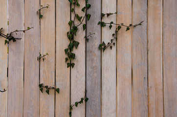 old wooden door