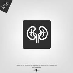 Kidney icon. Vector illustration sign.