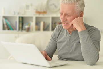 Portrait of happy senior man using laptop at home