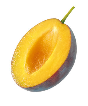 Zwetschge
