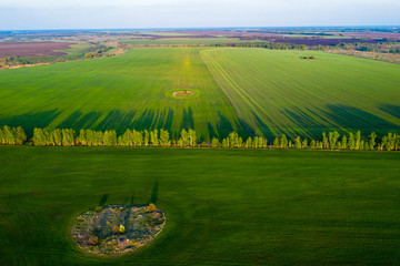 Spring fields, long shadows from landings at sunset from the quadrocopter