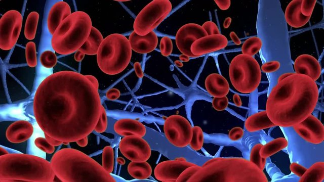 Red blood cells and arteries