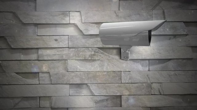 Surveillance camera