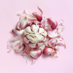 Fresh garlic on a light pink background