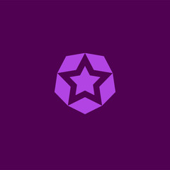 Star logo element vector emblem modern design