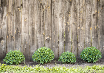 Scenic wooden fence with grass. Vintage texture Background.