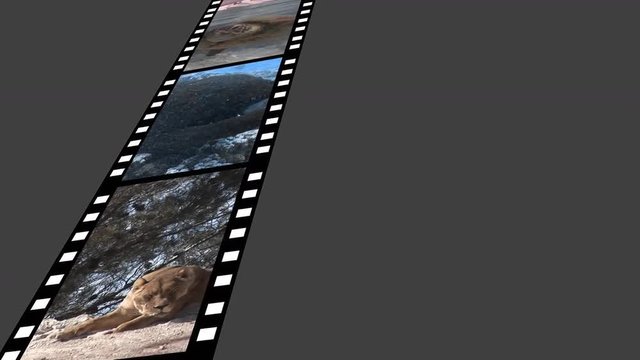 Film strip with videos