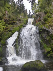 cascade triberg