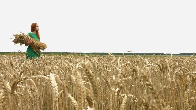 Walk on the wheat field.  Slow motion. A pretty young girl in a green dress is walking along the field with an armful of ripe wheat.  She stops and smiles. The camera moves from left to right.