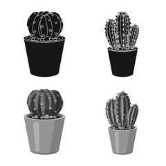 Vector design of cactus and pot icon. Set of cactus and cacti stock vector illustration.
